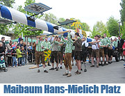 Maibaum aufstellen Hans Mielich Platz (©Foto: Ingrid Grossmann)